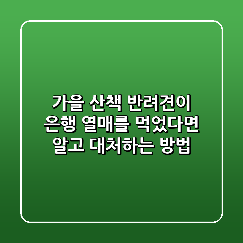 가을 산책, 반려견이 은행 열매를 먹었다면?🐶🍂 알고 대처하는 방법!