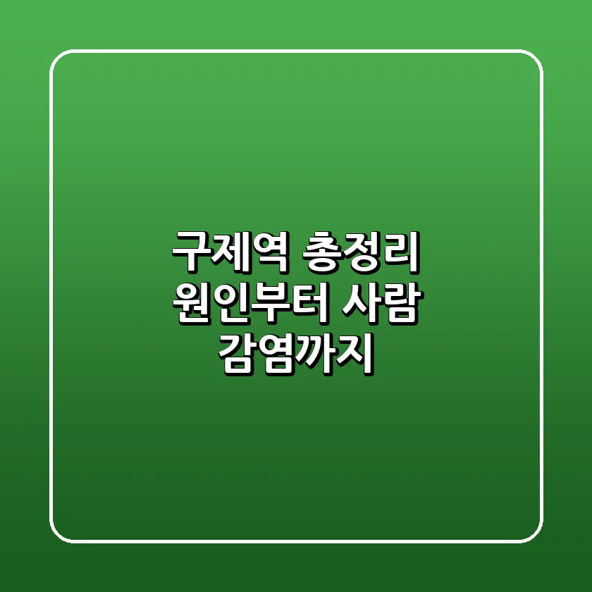 구제역 총정리: 원인부터 사람 감염까지