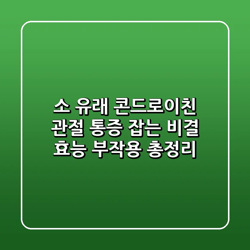 소 유래 콘드로이친, 관절 통증 잡는 비결? (효능, 부작용 총정리)