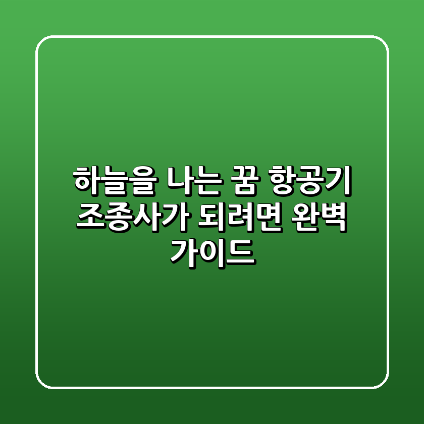 하늘을 나는 꿈, 항공기 조종사가 되려면? 완벽 가이드