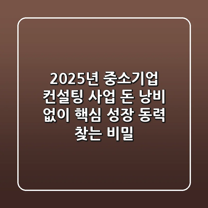 2025년 중소기업 컨설팅 사업, 돈 낭비 없이 핵심 성장 동력 찾는 비밀
