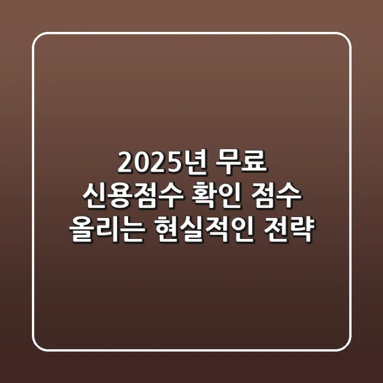 2025년 무료 신용점수 확인, 점수 올리는 현실적인 전략