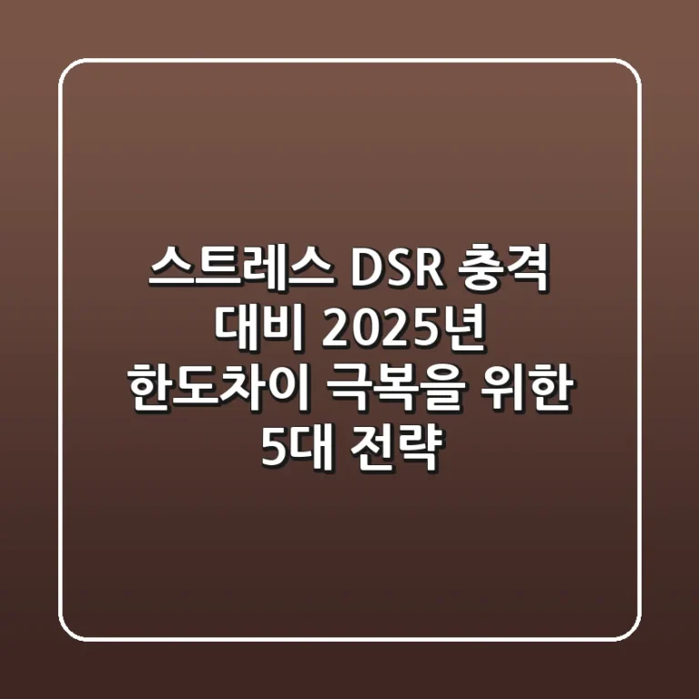 "스트레스 DSR 충격 대비", 2025년 한도차이 극복을 위한 5대 전략