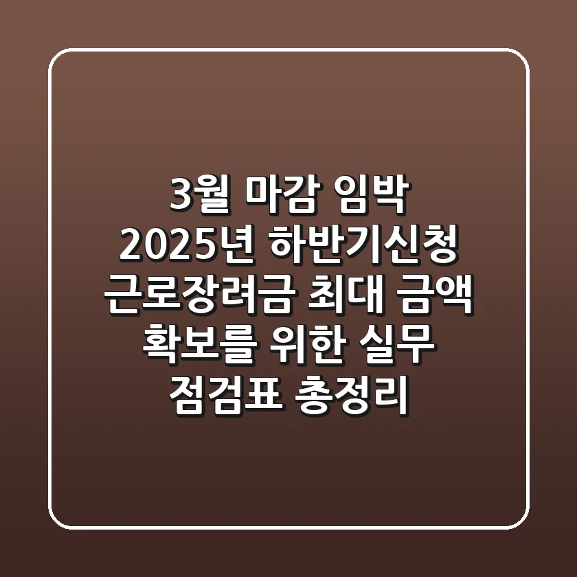 "3월 마감 임박!", 2025년 하반기신청 근로장려금 최대 금액 확보를 위한 실무 점검표 총정리