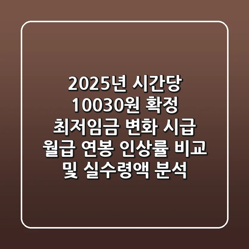 "2025년 시간당 10,030원 확정", 최저임금 변화 시급 월급 연봉 인상률 비교 및 실수령액 분석
