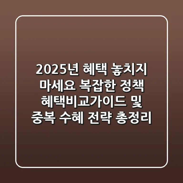"2025년 혜택, 놓치지 마세요!", 복잡한 정책 혜택비교가이드 및 중복 수혜 전략 총정리