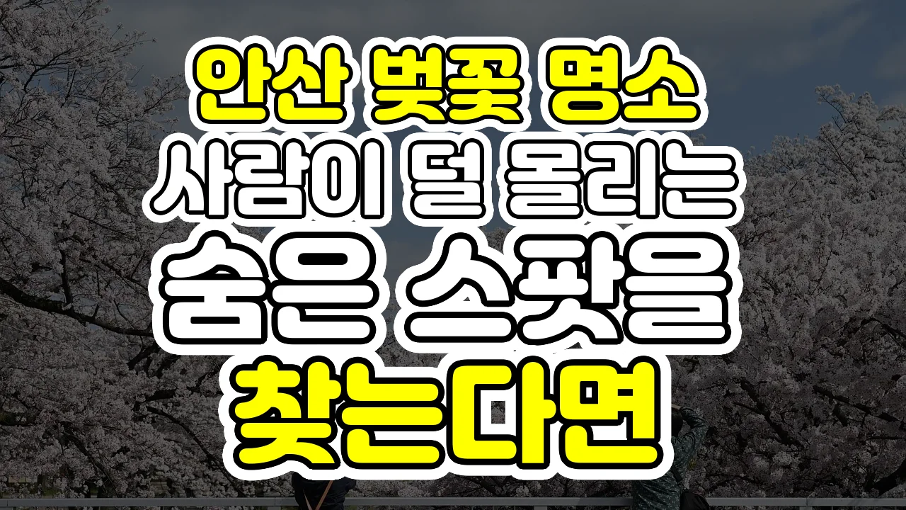 안산 벚꽃 명소, 사람이 덜 몰리는 숨은 스팟을 찾는다면