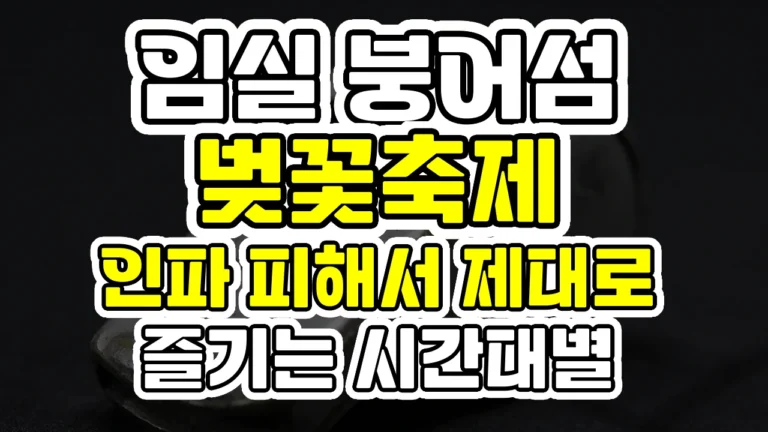 임실 붕어섬 벚꽃축제, 인파 피해서 제대로 즐기는 시간대별 코스