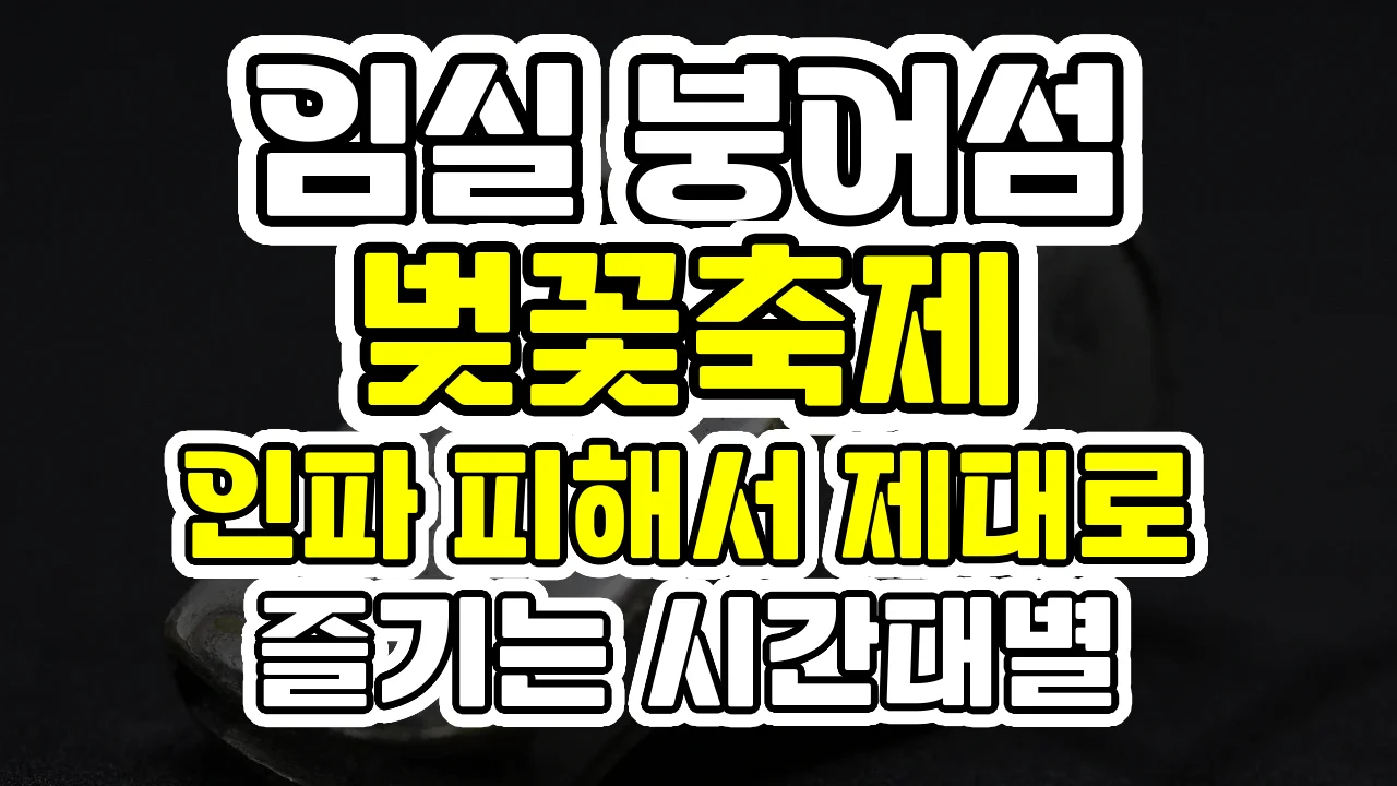 임실 붕어섬 벚꽃축제, 인파 피해서 제대로 즐기는 시간대별 코스