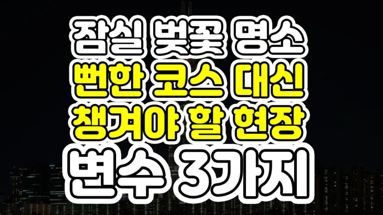 잠실 벚꽃 명소, 뻔한 코스 대신 챙겨야 할 현장 변수 3가지