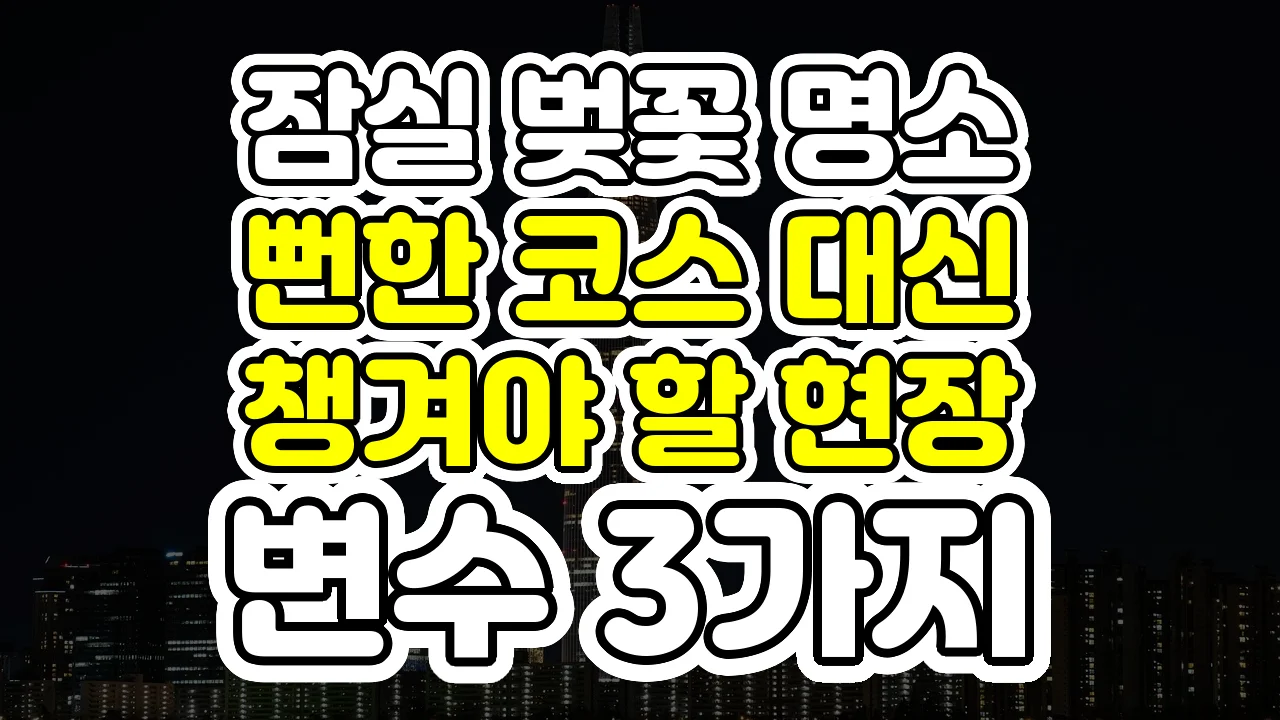 잠실 벚꽃 명소, 뻔한 코스 대신 챙겨야 할 현장 변수 3가지