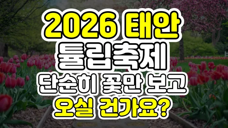 2026 태안 튤립축제, 단순히 꽃만 보고 오실 건가요?