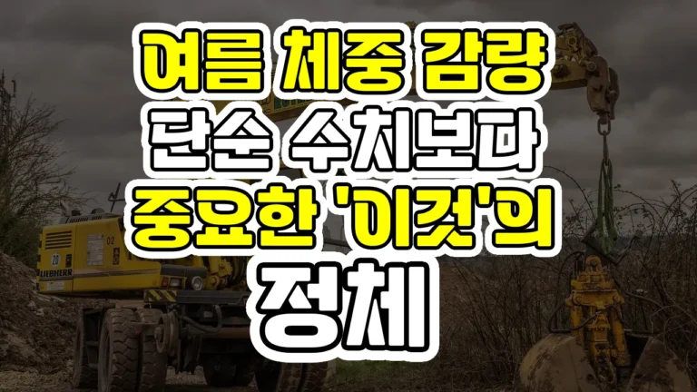 여름 체중 감량, 단순 수치보다 중요한 '이것'의 정체