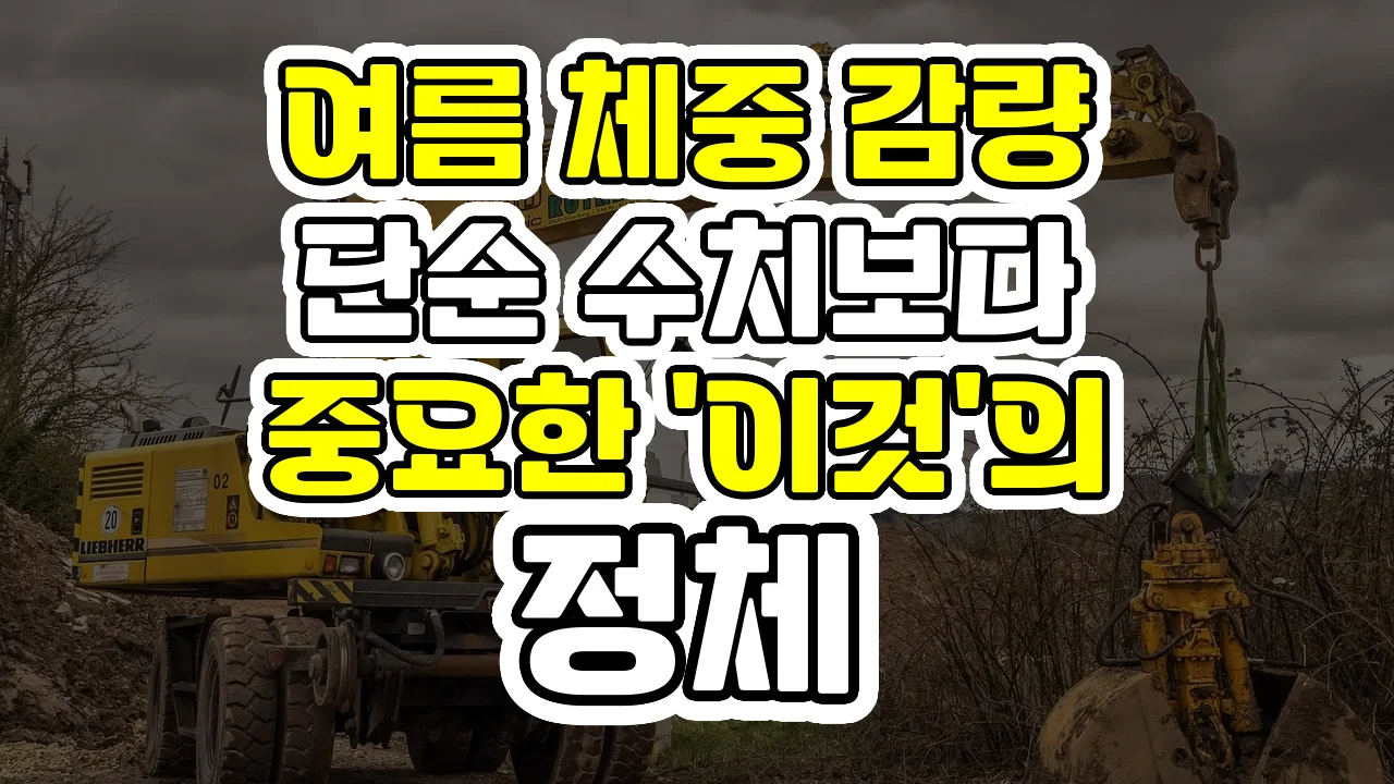 여름 체중 감량, 단순 수치보다 중요한 '이것'의 정체