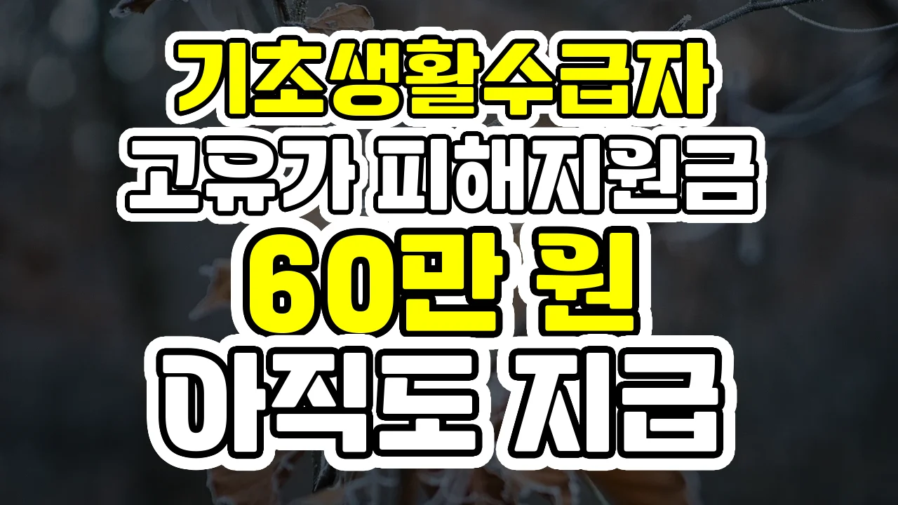 기초생활수급자 고유가 피해지원금 60만 원, 아직도 지급 대상인지 헷갈리시나요?