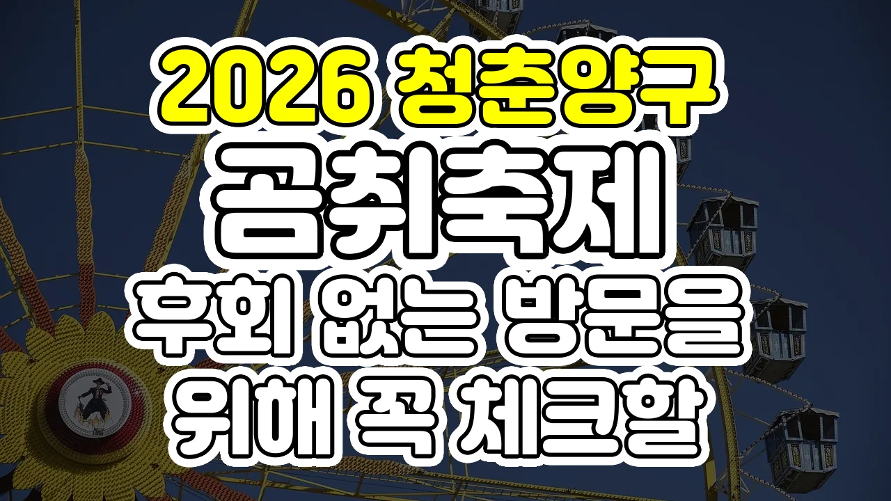 2026 청춘양구 곰취축제, 후회 없는 방문을 위해 꼭 체크할 3가지 포인트